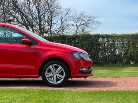 Volkswagen Polo MATCH 24