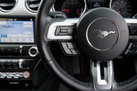 Ford Mustang ECOBOOST 19