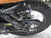 Mutt Akita 125 Pre-registered 12