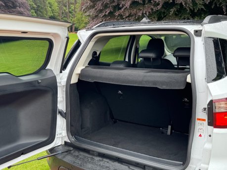 Ford Ecosport ACTIVE 33