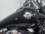 Kawasaki VN 800 1995 A1 PROJECT CRUISER BIKE SPARES OR REPAIR CUSTOM BUILD 800CC 28