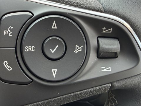Vauxhall Grandland 1.2 Hybrid [136] Ultimate 5dr e-DCT6 32