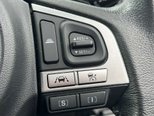 Subaru Forester 2.0i XE Premium SUV 5dr Petrol Lineartronic 4WD Euro 6 (s/s) EyeSight (150  29