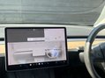 Tesla Model 3 Model 3 Standard Range + 4dr 59