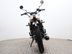 Mutt Akita 125 Pre-registered 5