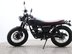 Mutt Mongrel 125 Pre-registered 9