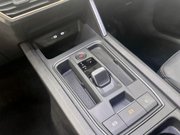 Cupra Formentor 1.5 TSI V2 SUV 5dr Petrol DSG Euro 6 (s/s) (150 ps) Cruise Control - DAB R 17