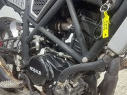Herald Motor Co Brat 2022 7K TALL ENDURO BIKE LEARNER 125CC 23
