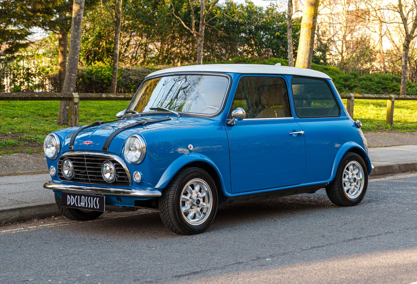 Rover Mini 1995