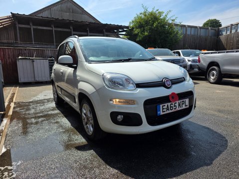 Fiat Panda TWINAIR LOUNGE DUALOGIC 3