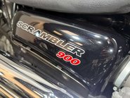 Triumph Scrambler 2014 ONLY 11K EXCELLENT CONDITION LONG MOT WARRANTY 19