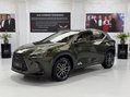 Lexus NX 450H PLUS TAKUMI 1