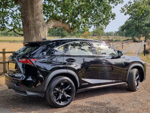 Lexus NX 300H SPORT 5