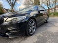 BMW 2 Series M235I 46