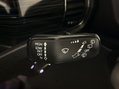 Skoda Kodiaq SE L TDI SCR DSG 27