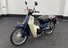 Honda C90 C50 Superb Cub 50cc Fuel Injected JDM Japanese Bike UK Registered