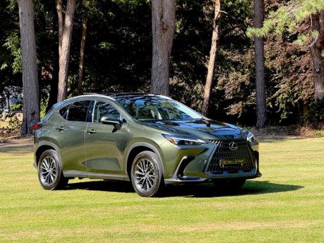 Lexus NX 350H
