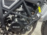 Herald Motor Co Brat 2022 7K TALL ENDURO BIKE LEARNER 125CC 18