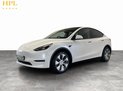 Tesla Model Y (Dual Motor) Long Range SUV 5dr Electric Auto 4WDE (384 bhp) 3