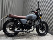Mutt Hilts 2021 ONLY 529 MILES 1 OWNER WARRANTY 125CC SCRAMBLER 6