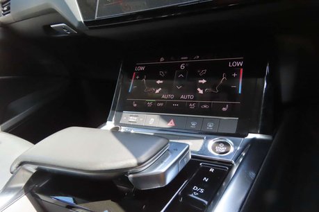 Audi E-Tron 50 Technik Auto quattro 5dr 71.2kWh (11kW Charger) 13