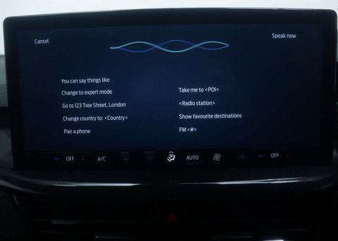 Ford Focus 1.0 Focus ST-Line MHEV Auto 5dr 27