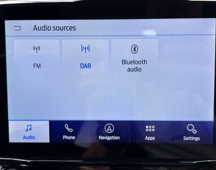 Ford Ecosport 1.0 EcoSport ST-Line 5dr 41