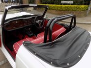 Triumph TR5 Sports 22