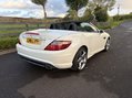 Mercedes-Benz SLK SLK250 AMG SPORT CDi 12