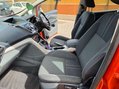 Ford C-Max 1.6 C-Max Titanium TDCi 5dr 49