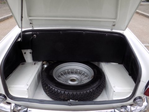 Triumph TR5 Sports 24