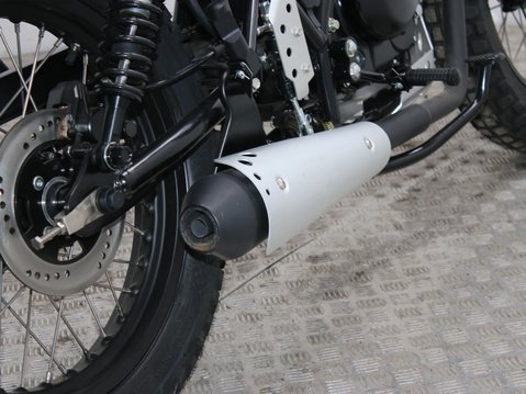 Mutt Akita 125 Pre-registered 20