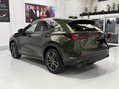 Lexus NX 450H PLUS TAKUMI 16