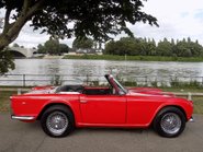Triumph TR4 Sports 10
