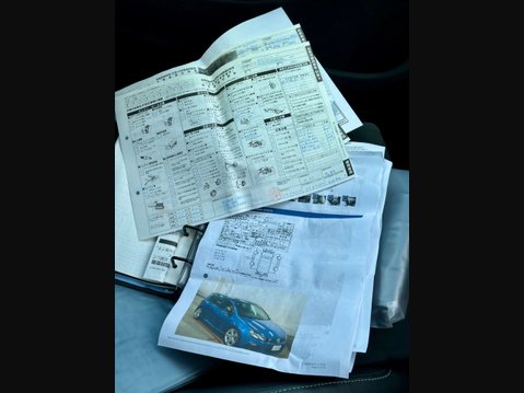 Volkswagen Golf R 2.0 DSG (Wingback) DCC 14