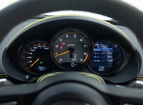 Porsche Cayman GT4 (718) 22