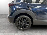 Mazda CX-30 2.0 e-SKYACTIV G MHEV Homura SUV 5dr Petrol Manual Euro 6 (s/s) (122 ps) 10