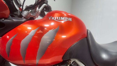 Triumph Tiger 2004 ADVENTURE BIKE PROJECT 955CC SPARES OR REPAIR 13