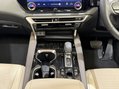 Lexus RX 450H PLUS PREMIUM PLUS 56