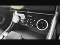 Jaguar XF R-DYNAMIC S 42