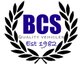 BCS Quality Vehicles 