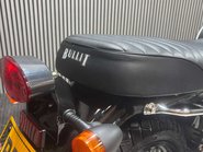 Bullit Hunt 2020 ONLY 1K MODERN 125CC RETRO BIKE CAFE RACER LEARNER 12