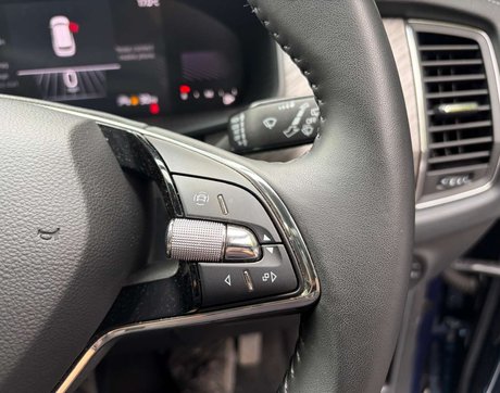 Skoda Kodiaq 1.5 Kodiaq SE L Executive TSi Semi-Auto 5dr 28