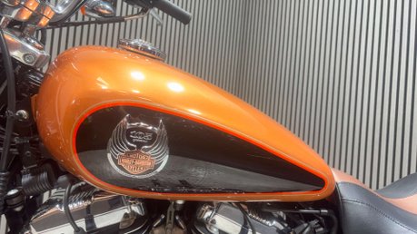 Harley-Davidson Sportster XL1200 C 2007 105 ANNIVERSARY ONLY 4K LONG MOT 1200CC 41