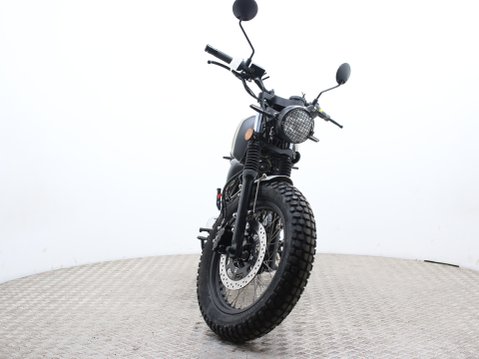 Mutt Akita 125 Pre-registered 10