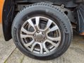 Ford Ranger WILDTRAK 4X4 DCB TDCI 11