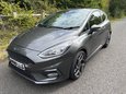 Ford Fiesta ST-3 10