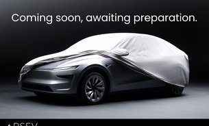 Tesla Model 3 PERFORMANCE AWD Enhanced Autopilot White Interior Ryzen GROK AI Front PPF 1