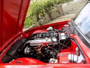Triumph TR6 125 bhp Sports 15