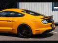 Ford Mustang 5.0 Mustang GT 2dr 25